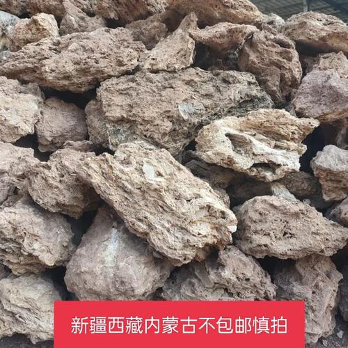 云南发货吸水石摆件自然通孔像海绵吸水的盆景石假山石可长绿植