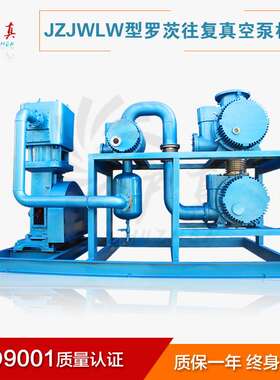 罗茨往复真空泵机组 WLW型立式往复真空泵组 上海沪真