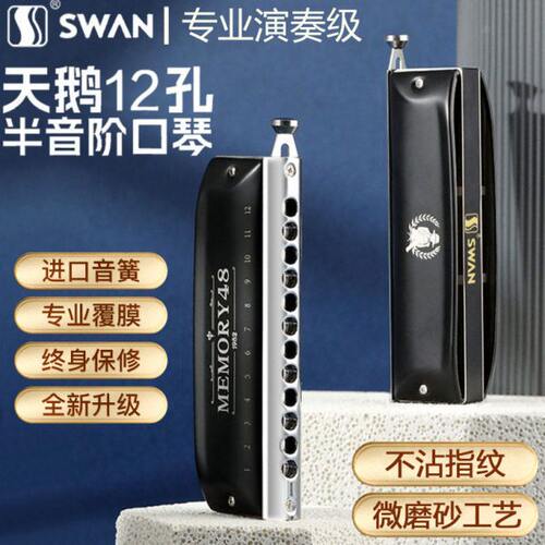 学生乐器儿童男半音阶口琴正品天鹅演奏12孔级入门初学者专业士