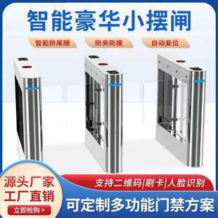 人行通道闸防速通门闸机摆闸双门闸机海关机场身份验证