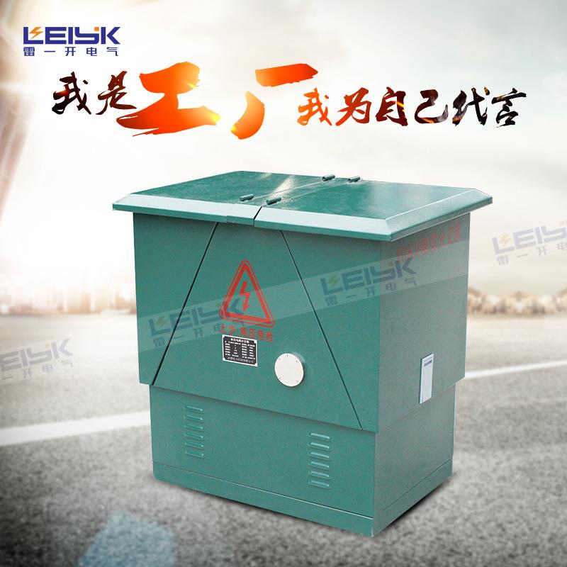 电缆转接箱欧式FW高压电缆分支箱分接箱一进一出不锈钢外壳10KV