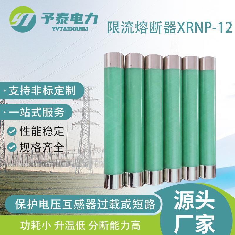 XRNP-12/0.5A高压限流熔断器10KV户内熔管保护用熔夹熔座