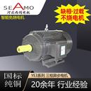 电机定制生产YE3 355w380V高效三相异步电动机 2极3
