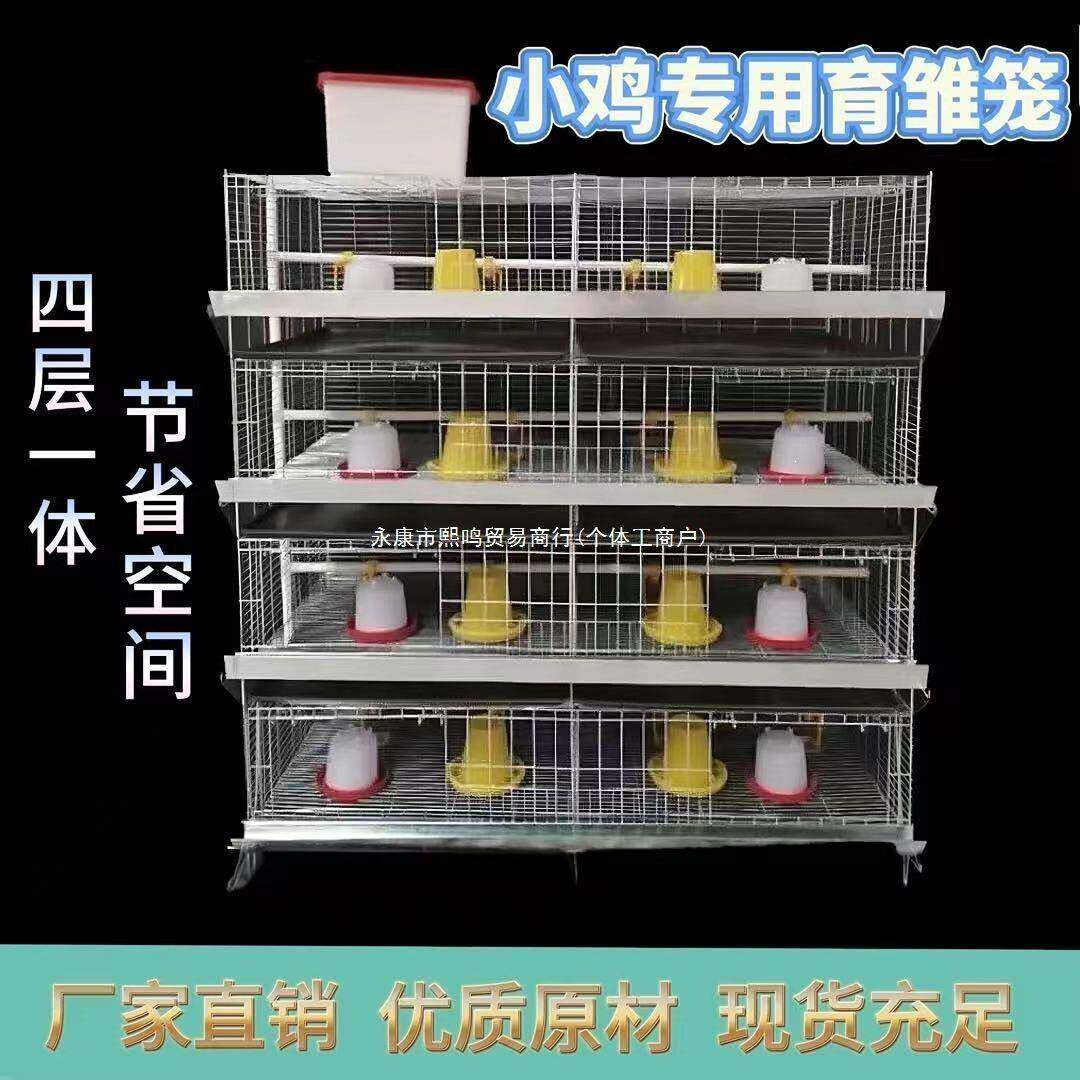 4鸡笼苗笼加粗养殖育雏一体式层弹簧门小鸡加密出壳笼小雏鸡笼笼