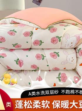 A类双层纱被子冬被芯保暖110x150cm多规格可选