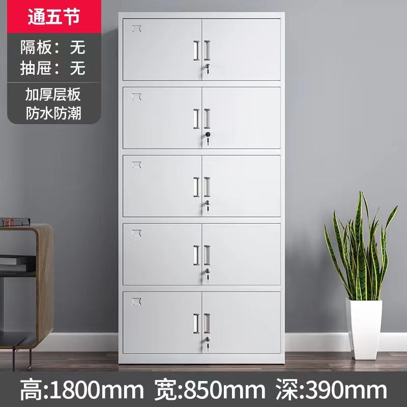 钢制2门办公文件柜铁皮资料柜加厚财务凭证档案柜带锁储物柜