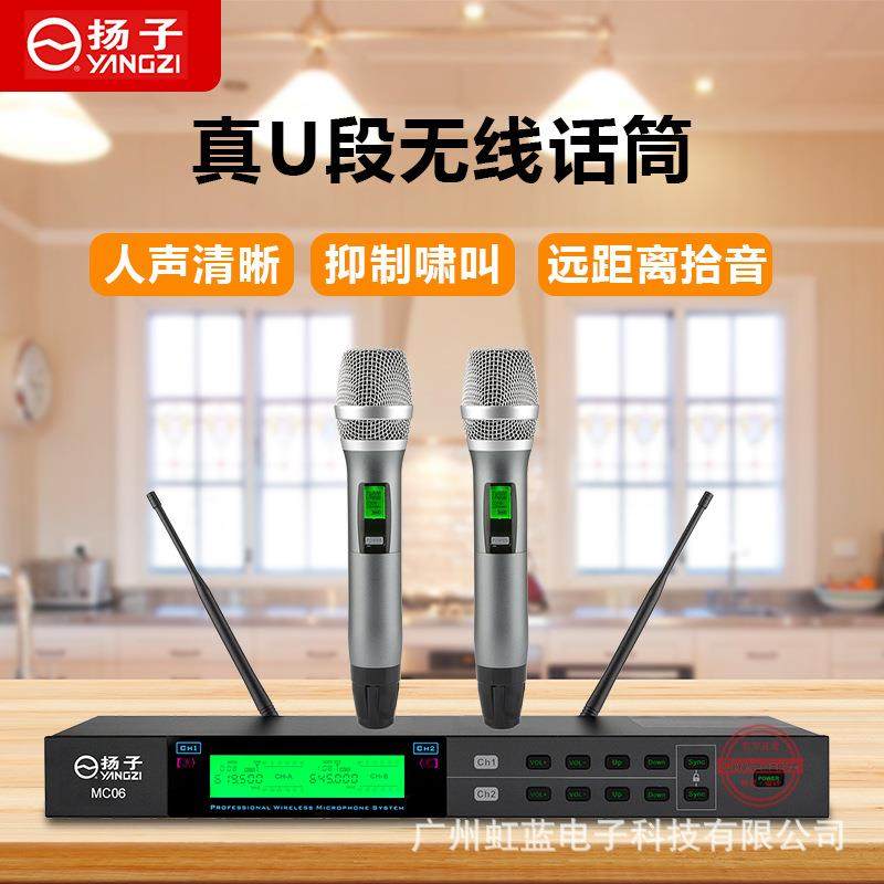 扬子话筒一拖二家用ktv专业U段调频麦克风唱歌户外舞台防啸叫声卡