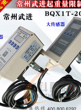 量X1TBQ2TT限位20T163T5载器梁10- 常沈单TT起重限制超常州武进器