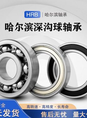 哈尔滨HRB轴承6316 6317 6318 6319 6320 6321 6322 6324 2RZ 2Z