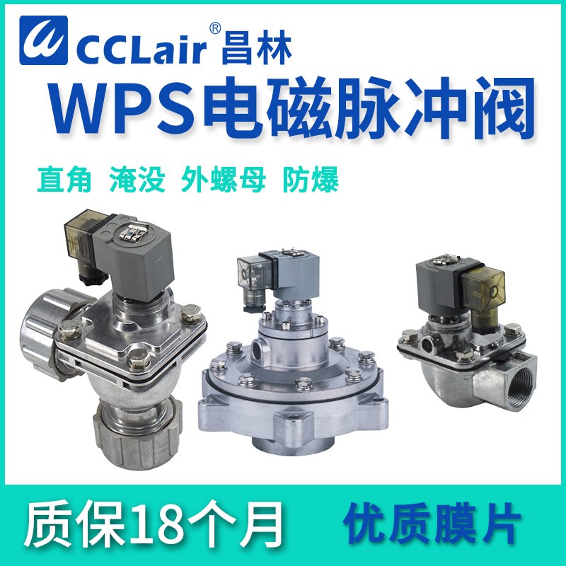 WPS-Y-50S/62S/76S淹没WPSw-CA/TG20/25/40/50直角45脉冲阀EP62/7