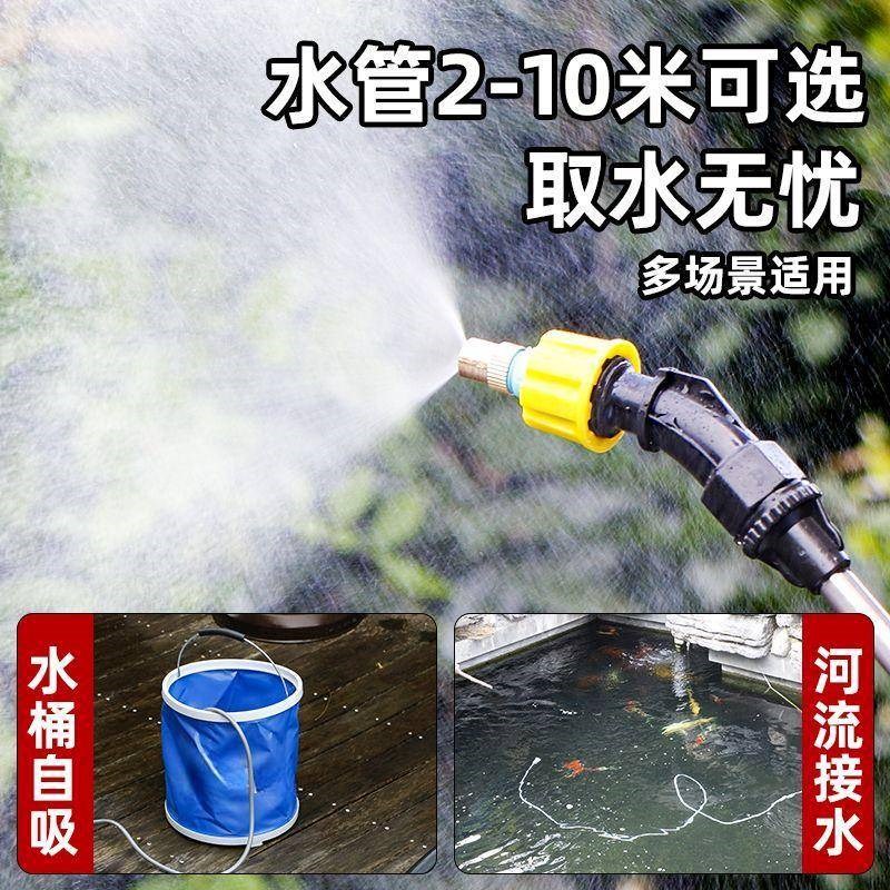 便携式喷雾器打农药全自动电动可伸缩喷枪浇花充电式消毒新款打药