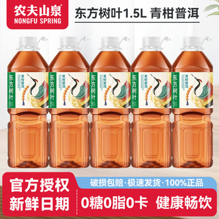 【特惠1瓶】农夫山泉东方树叶1.5L青柑普洱家庭分享装无糖茶饮料