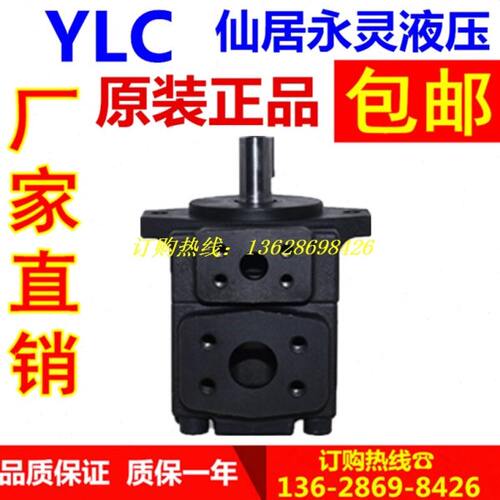 15FV2/-R623仙053油泵量18/13/4/PL居永灵定4120/7叶片泵 YC12
