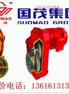 -27减速机R17G国茂RXG4M0集-P销专10齿轮减速机系列斜团3R1-