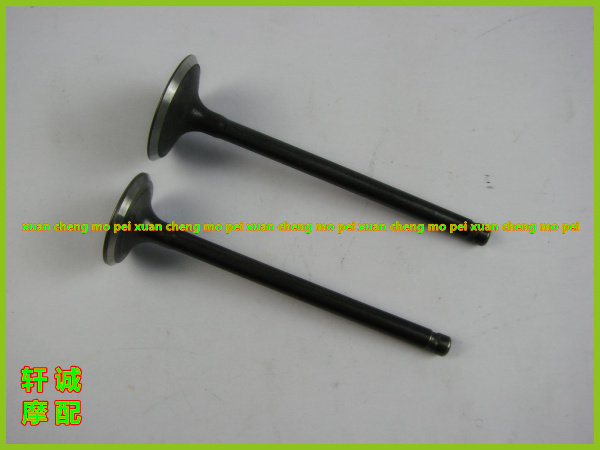 领悦QJ125T-15A/4F/4H/9B/4A/16E/27C进U排气门进气门排气门