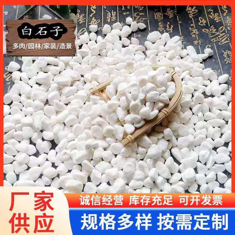 白色石子园林造景庭院铺路用白石子园艺盆栽小白石子白色鹅卵石