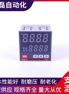 温控仪REX 智能高精度温控仪 温控器 恒温器 多功能调节仪表