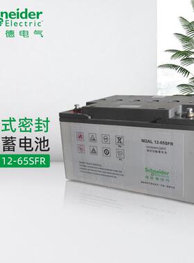 APC施耐M2AL12-65CFR 免维护密封铅酸蓄电池12V65Ah蓄电池原厂