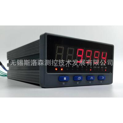 称重仪表80次测控速度称重仪表XSB5应变传感器显示表称重仪表