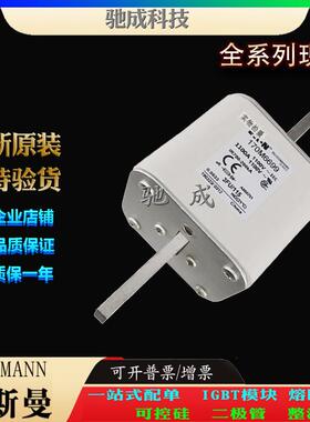 巴斯曼170M6693 170M6694 170M6695 经销直销价优 低压熔断器