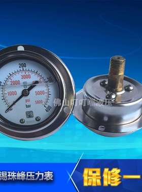 ZFYB无锡珠峰耐震抗震压力表轴向YN60III-600/250/400BAR/40BAR