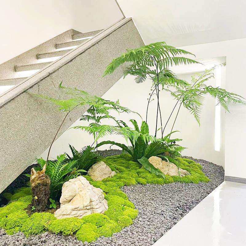 仿真金丝猴蕨绿植楼梯口盆栽金毛狗蕨类植物中式橱窗造景禅意摆件