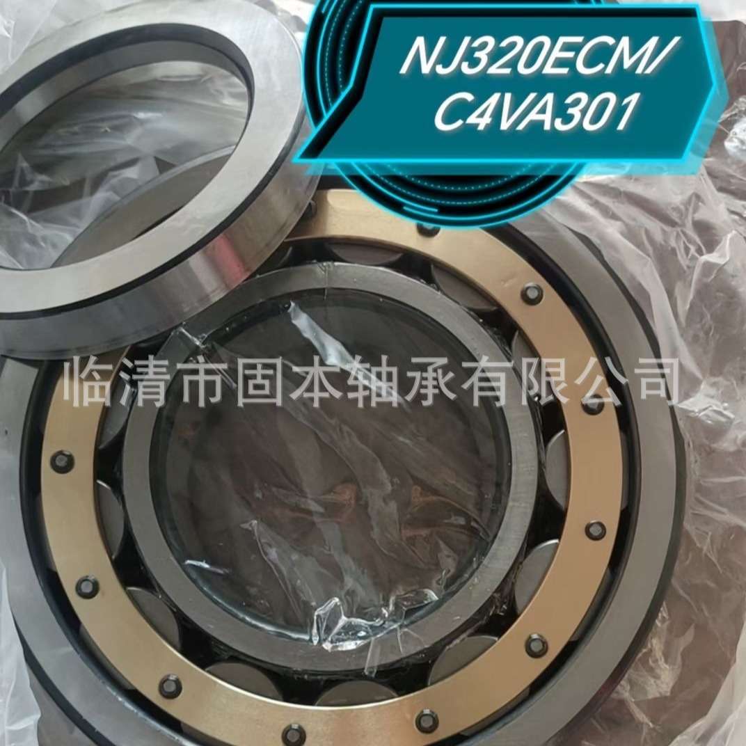 NJ320ECM/C4VA301+HJ320EC    火车牵引电机轴承