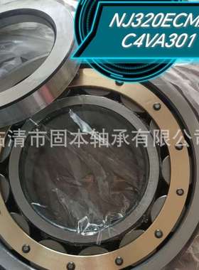 NJ320ECM/C4VA301+HJ320EC    火车牵引电机轴承