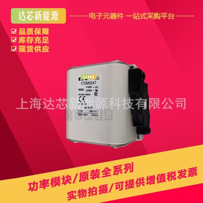 170M6588 170M6589 170M6590 170M6591 170M6592 170M6593熔断器