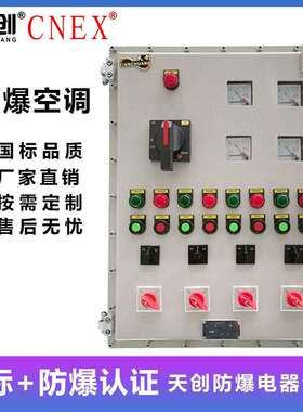 防爆动力配电箱 防爆配电箱 BXD51系列