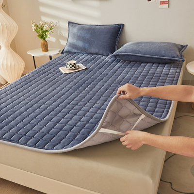 2023新款保暖牛奶绒床垫软垫冬季家用护垫双面两用V学生宿舍床褥