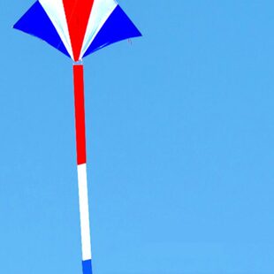 大人风易风筝风剑微冲伞碳素杆抗大专用天2024坠追天飞新款冲布