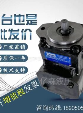 0n/油泵 12/-C010i1-/3丹28sDe6on/0/尼逊1R1T-20725叶片泵C/220