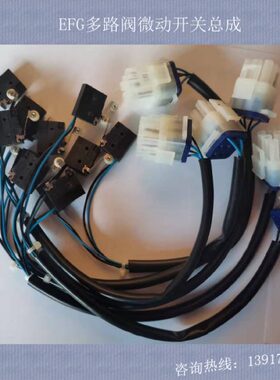 5009710路E开关总成限位1232多阀G1永恒力48-微动开关侧移F