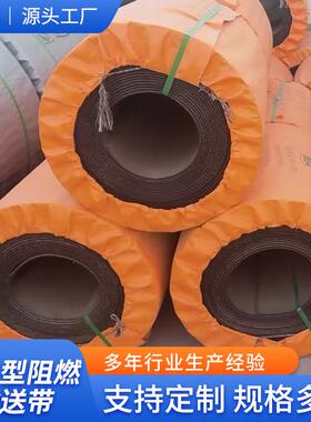 pvg型阻燃输送带现货矿用阻燃高强度输送带耐高温耐磨煤矿运输带