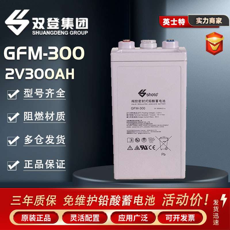 双登蓄电池GFM-300电力工程直流系统2V300AH发电站紧急电源直流屏