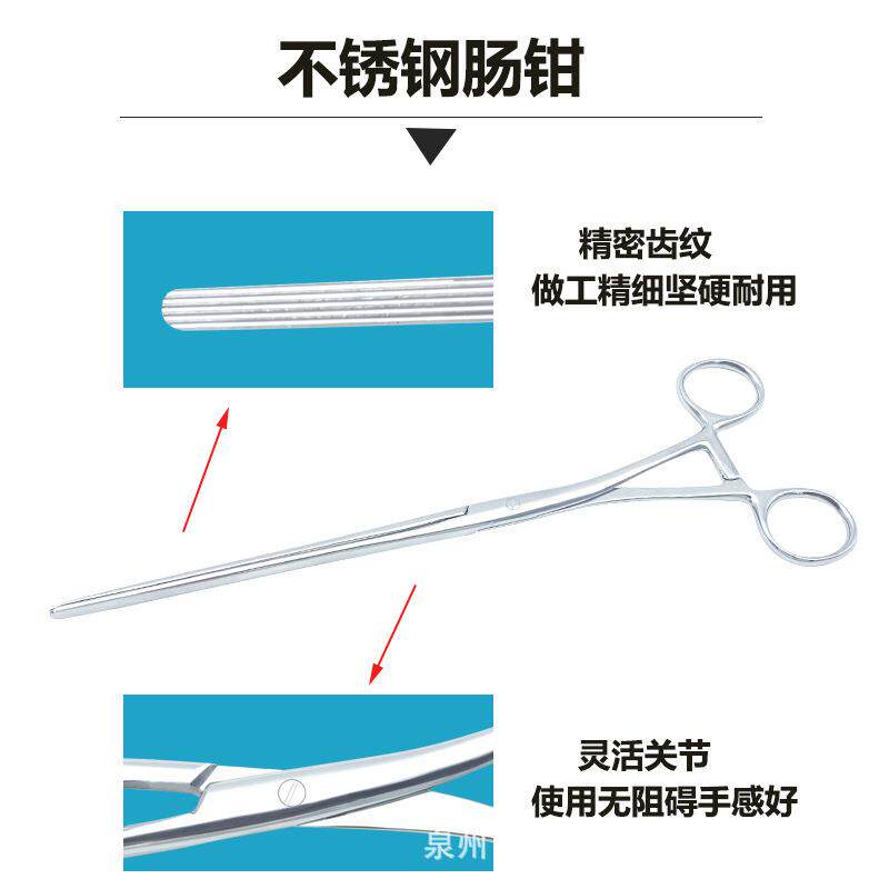 卓优跃不锈钢肠钳24CM直肠钳24CM弯钳宠物夹耳猛犬栽耳钳现货供应