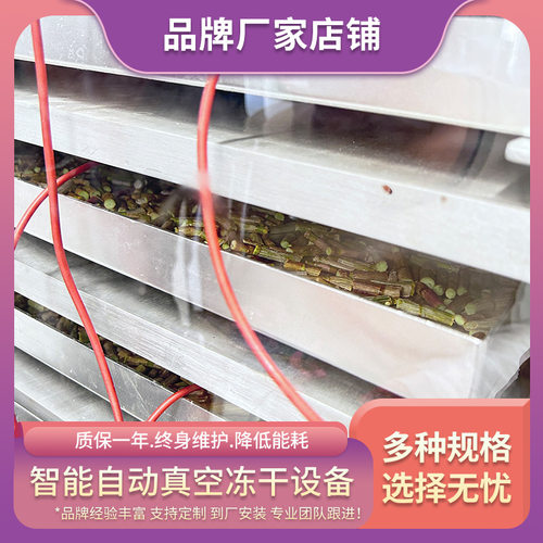 智能化控制冻干设备 洋葱真空冷冻干燥机 多用途FD真空升华冻干机