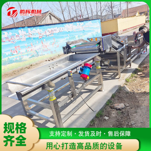 海鲜高压气泡清洗机 根茎类蔬菜清洗机 果蔬加工用设备