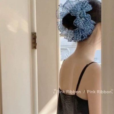 布鲁士蓝格网纱花边大肠发圈女级感马尾头花气质仙美扎头绳发绳,家庭/个人清洁工具,发圈/发网,淘宝优惠券,粉丝福利购,淘宝优惠卷