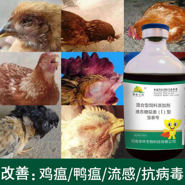 宝泰号添加剂糖萜素改善流感新城疫传支传喉临床症状