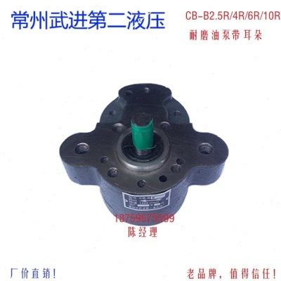 齿轮油泵耐磨油泵带耳朵CB-B2.5R/B4R/B6R/B10R,五金/工具,其他液压工具,淘宝优惠券,粉丝福利购,淘宝优惠卷