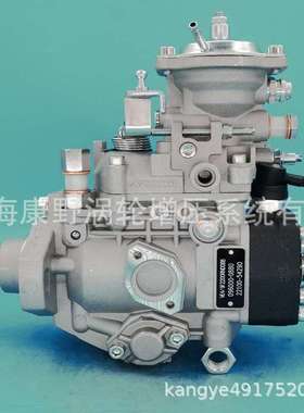 FT喷油泵 22100-5B530 196000-0960和22100-78274-71 196000-5690