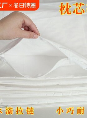 枕头枕芯内胆套沙发内套巾抱枕袋子内衬布料保护S白色拉链空套荞
