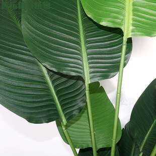 仿真绿植假植物旅人蕉高端轻奢装饰室内盆栽仿生天堂鸟客厅摆件树
