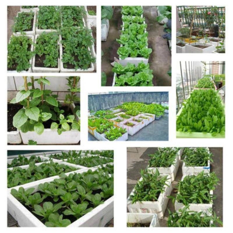 泡沫箱纸箱d快递专用水保果鲜冷977藏海鲜食冷冻生鲜邮加政熟箱