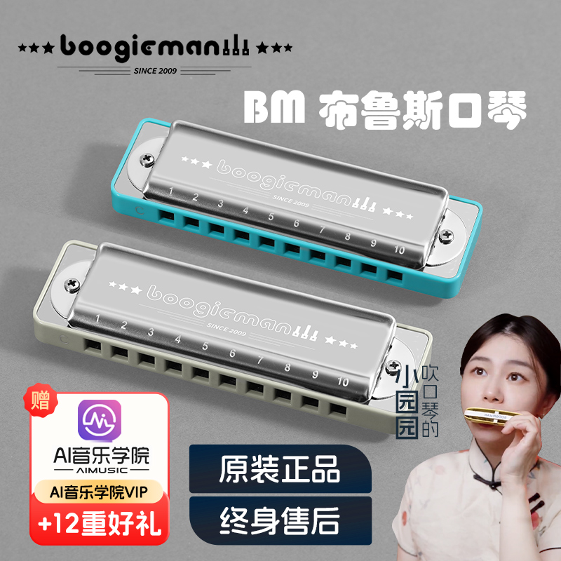 Boogiemagn布鲁斯口琴C调蓝调网十孔10paddy调音初学a入门园园同