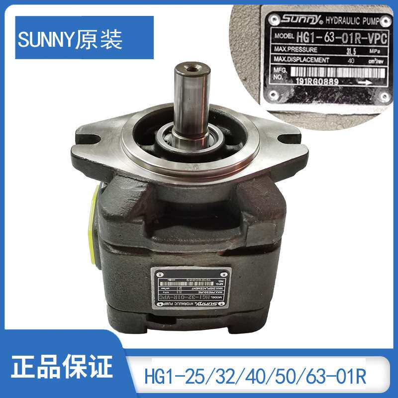 东华力劲佳明伊之密注塑机用伺服油泵HG163 CP1-50 63海特克SUNNY