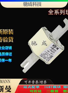 巴斯曼170M4219 170M4238 170M4239 现货直销零售 快速熔断器