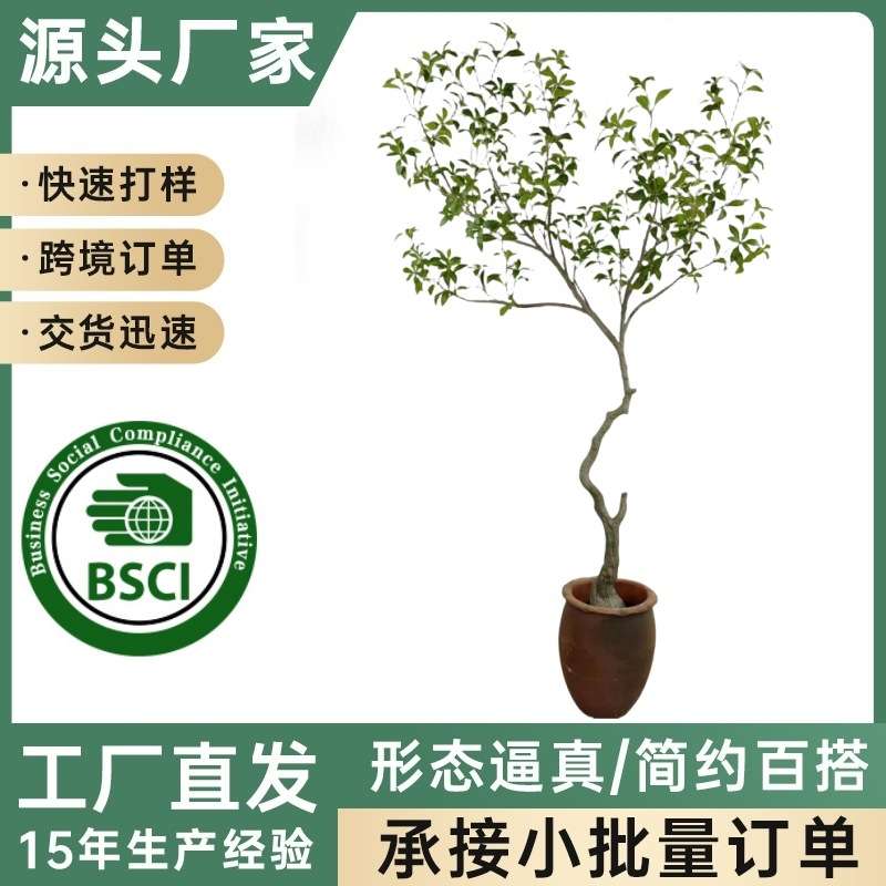 仿真绿植建德商贸服装酒店橱窗花艺造景套装马醉木户外户外装饰
